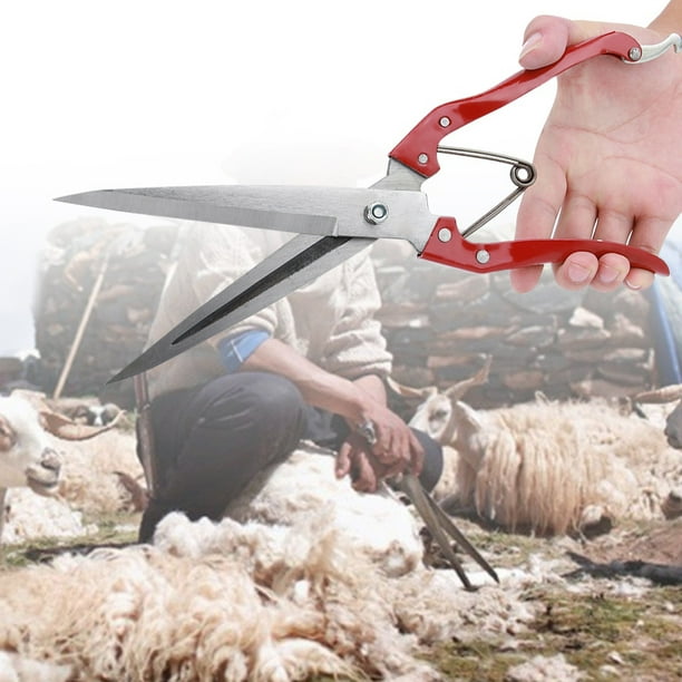 Kit Para Caballos Cuchillas Esquiladora Cuchilla De Tijera De