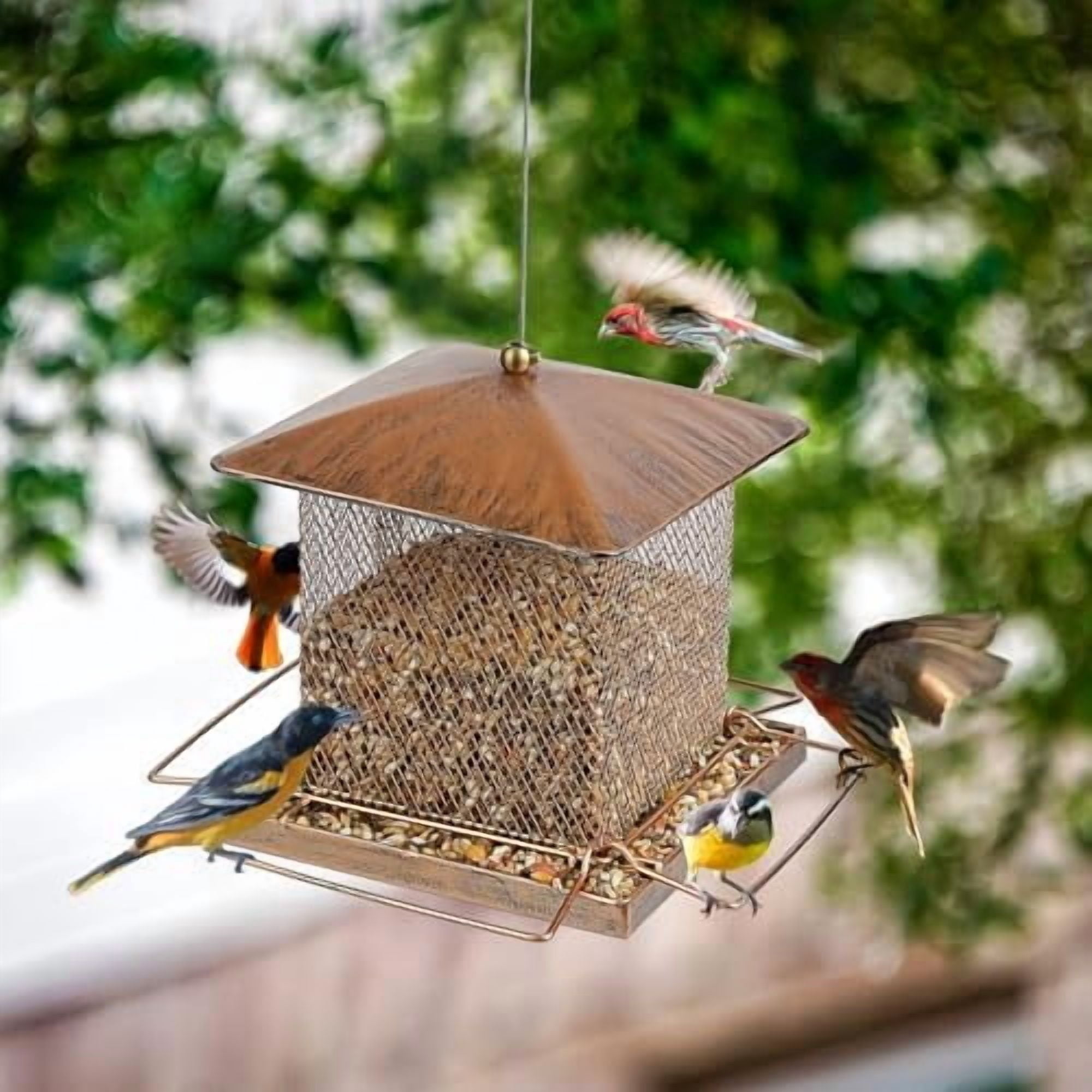 Bird Feeder, Heavy Duty Metal Bird Feeders for Outdoor Hanging, Wild Birdfeeder with Buckle for Garden Yard Outside Backyard, 3.5LB Large Capacity
