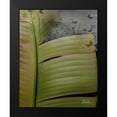 thumbnail image 2 of Pinto, Patricia 20x24 Black Modern Framed Museum Art Print Titled - Butterfly Palm II, 2 of 5