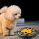 thumbnail image 2 of Rompecabezas de comida para perros, comedero para mascotas, tazón de alimentación, dispensador de para cachorros, juego de entrenamiento Azul Yuyangstore Inserto de alimentador lento, 2 of 8