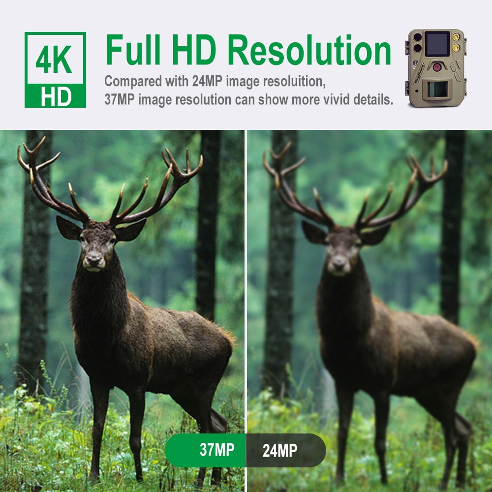 BOLY Hunting Game Camera, 37MP 4K with No Glow 940nm & White Flash Night Vision, IP66 Waterproof Trail Camera for Deer Hunting and Home Security