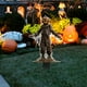 thumbnail image 1 of Espantapájaros de Halloween, Accesorios de Terror para Puertas y Ventanas de Patio, para Exteriores, 1 of 6
