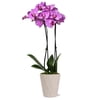 Image thumbnail_image