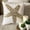 2. Ivory (Starfish Party), variant on Throw Pillow Case, Trellis Throw Pillow Cover Accent Couch Sofa Bed Pillow Case 14x14 inch (35x35 cm) Ivory Silk Pillow Cover Bead Embroidered, Ivory Pillow - Trellis Cafe Runway