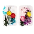 thumbnail image 1 of Caja de 2 flores secas para moldes para joyería de resina, manualidades, decoración de uñas, fabricación de velas, jabón, funda de teléfono, joyería, colgante, decoraciones florales, 1 of 5