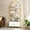 Gold, variant on Studyset Arched Bookshelf,Bookcase with Doors Storage,71 Inches Tall Industrial Book Shelf with Sturdy Metal Frame,Freestanding Display Shelving Unit,Quality Boards