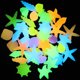 thumbnail image 1 of Bolsa luminosa concha caracola estrella de mar color plástico artificial piedra acuario fluorescente paisaje piedra luminosa marina, 1 of 4