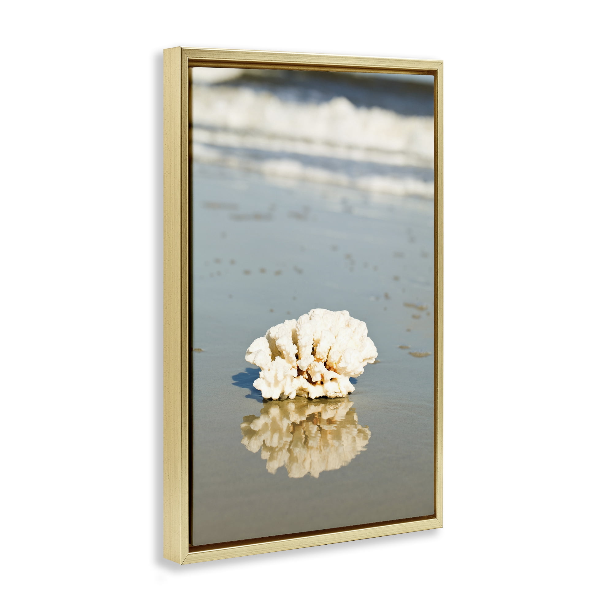 Stupell Industries Coral on Sea Shore Coastal Photography Gold Floater Framed Canvas Art Print Wall Art, 17 x 25