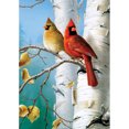thumbnail image 2 of Cuadros Decorativos 5D bricolaje completo taladro diamante pintura pájaro bordado mosaico Craft Kit (w1643) Ndcxsfigh Nuevos Originales, 2 of 8