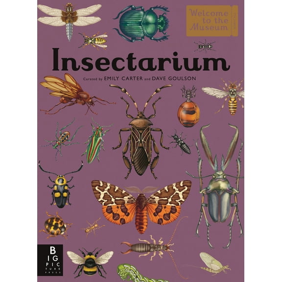 Welcome to the Museum Insectarium: Welcome to the Museum (an Illustrated Junior Entomology Guide to Wild Bug Species, Biodiversity, and Nature, (Hardcover)
