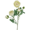 thumbnail image 3 of Northlight Real Touch™ Cream Ranunculus Artificial Floral Sprays, Set of 6 - 21", 3 of 3