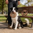 thumbnail image 7 of Tarmeek Wooden Bones Like Dog Toys, Dog Toys for Aggressive Chewers, Durable Teething Stick with Massage Bumps Dog Chew Toy for Grinding Teeth, Interactive Dog Toys Non-Toxic for Small Medium Dogs, 7 of 7