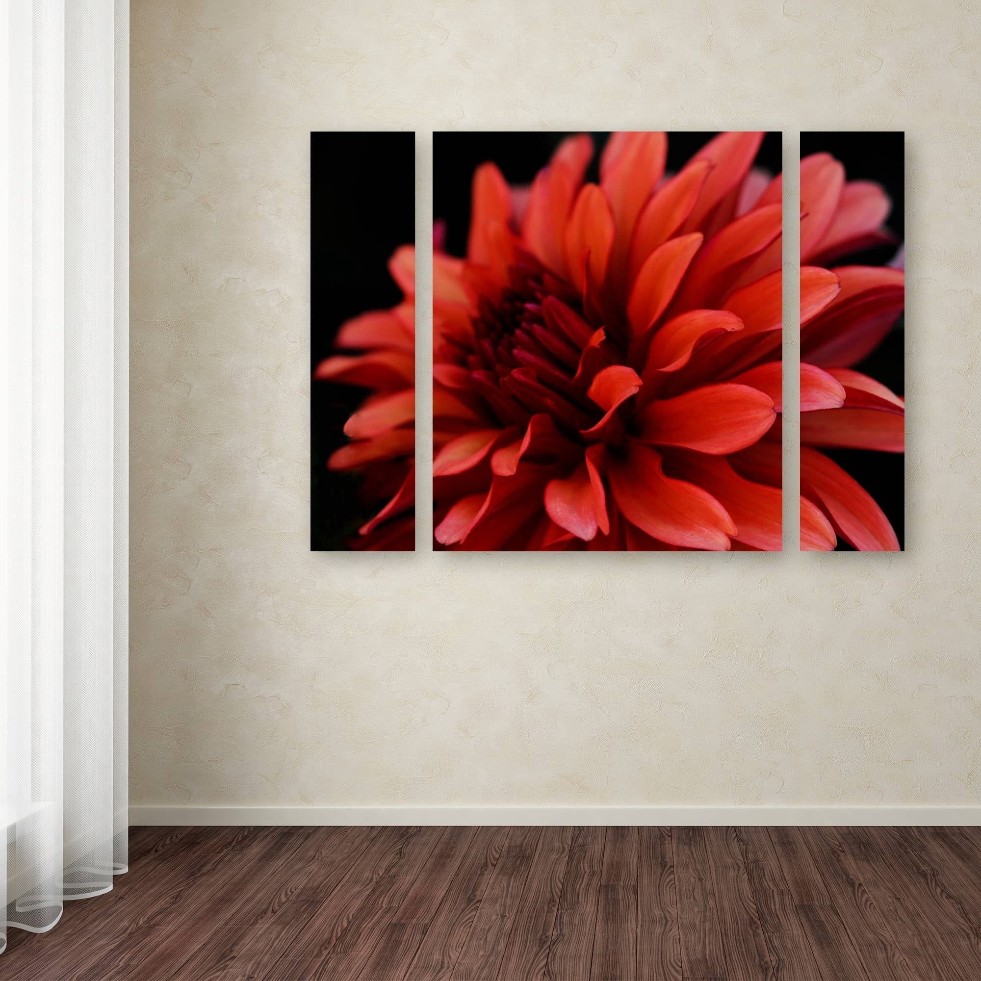 Trademark Fine Art "Red Dhalia" Canvas Art by Kurt Shaffer Three Panel Set