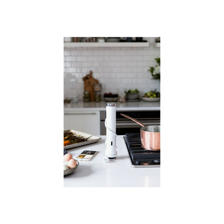 Chefsteps Joule Sous Vide Review & Giveaway • Steamy Kitchen