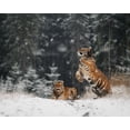 thumbnail image 2 of Firesova, Michaela 14x12 White Modern Wood Framed Museum Art Print Titled - It Is Snowing, 2 of 4