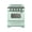 Summer Mint Green, variant on Unique Classic Retro 30" 3.9 cu/ft Freestanding 5-Element Electric Range with Convection Oven