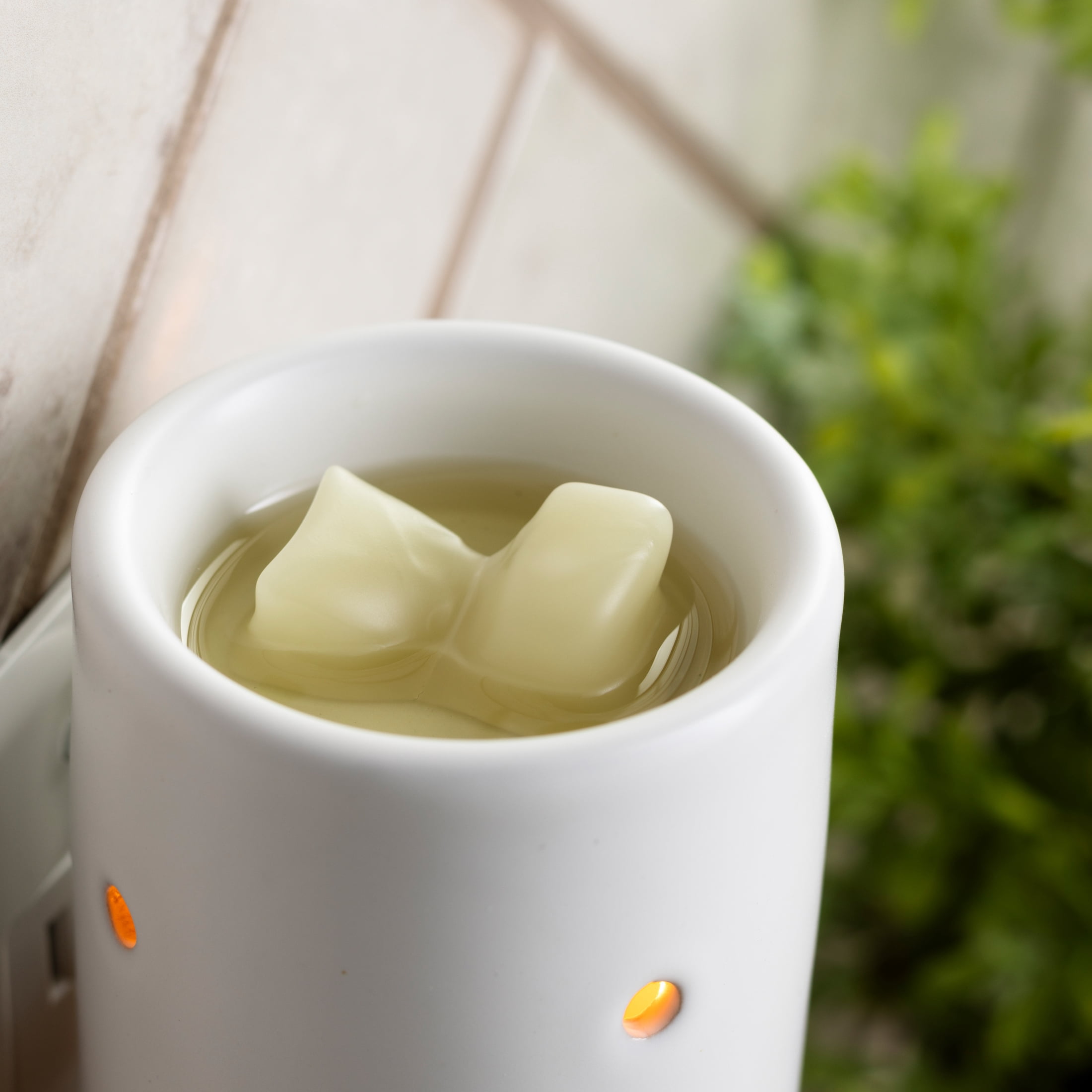 Allswell White Ceramic Pluggable Wax Warmer, Wood-Inspired Trim