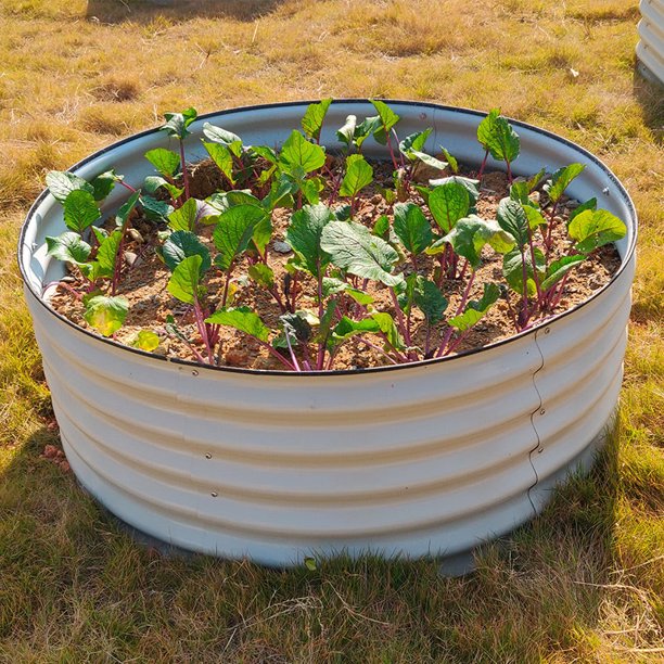 VEGEGA 17" Tall 42" Round Modular Corrugated Metal Raised Garden Beds