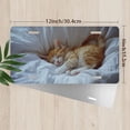 thumbnail image 2 of License Plate, Sleeping Kitten Decorative Front,Personalized Stainless Steel License Plate Cover For Men Women,12.2" X 6.2", 2 of 6