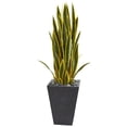 thumbnail image 1 of Nearly Natural 9182 3.5 in. Sansevieria Artificial Plant in Slate Planter, 1 of 1