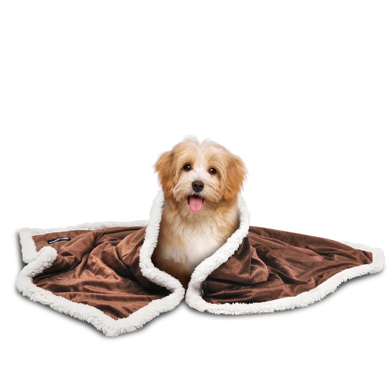 Pawsse Sherpa Puppy Blanket for Small Dogs Kitten, Warm Flannel Plush
