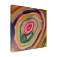 thumbnail image 2 of Sylvie Demers 'Stone' Canvas Art, 2 of 4