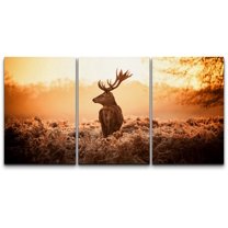 wall26 Canvas Print Wall Art Set Deer in The Golden Morning Sun Nature Wilderness Photography Realism Rustic Scenic Relax/Calm Multicolor for Living Room, Bedroom, Office - 24"x36"x3 Panels