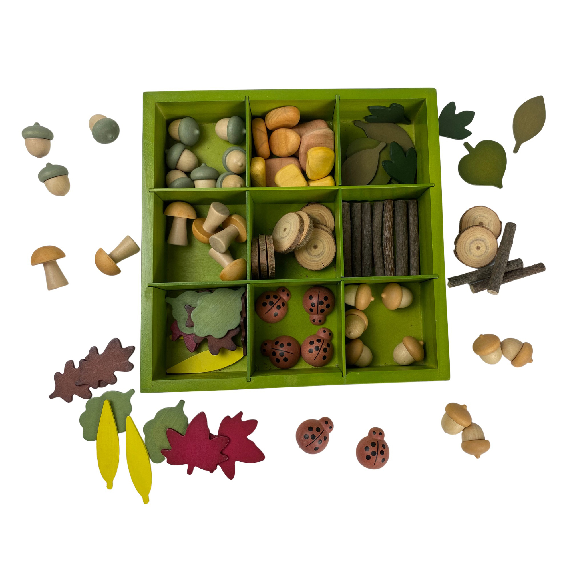 The Freckled Frog Nature's Sorting Box