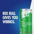 thumbnail image 6 of (4 pack) Red Bull Green Edition Energy Drink, Dragon Fruit, 114mg Caffeine, 12 fl oz Can, 6 of 13
