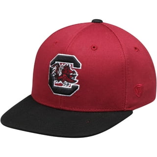 Men's Under Armour Garnet South Carolina Gamecocks On-Field Baseball  Performance Fitted Hat