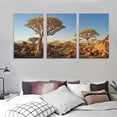 thumbnail image 3 of Nawypu Large Framed Wall Art Ready to Hang Quiver Trees Namibia Africa Canvas Print Artwork Wall Art Painting Pictures Home Office Wall Décor Modern Poster 12''x16''X3 Panels, 3 of 4
