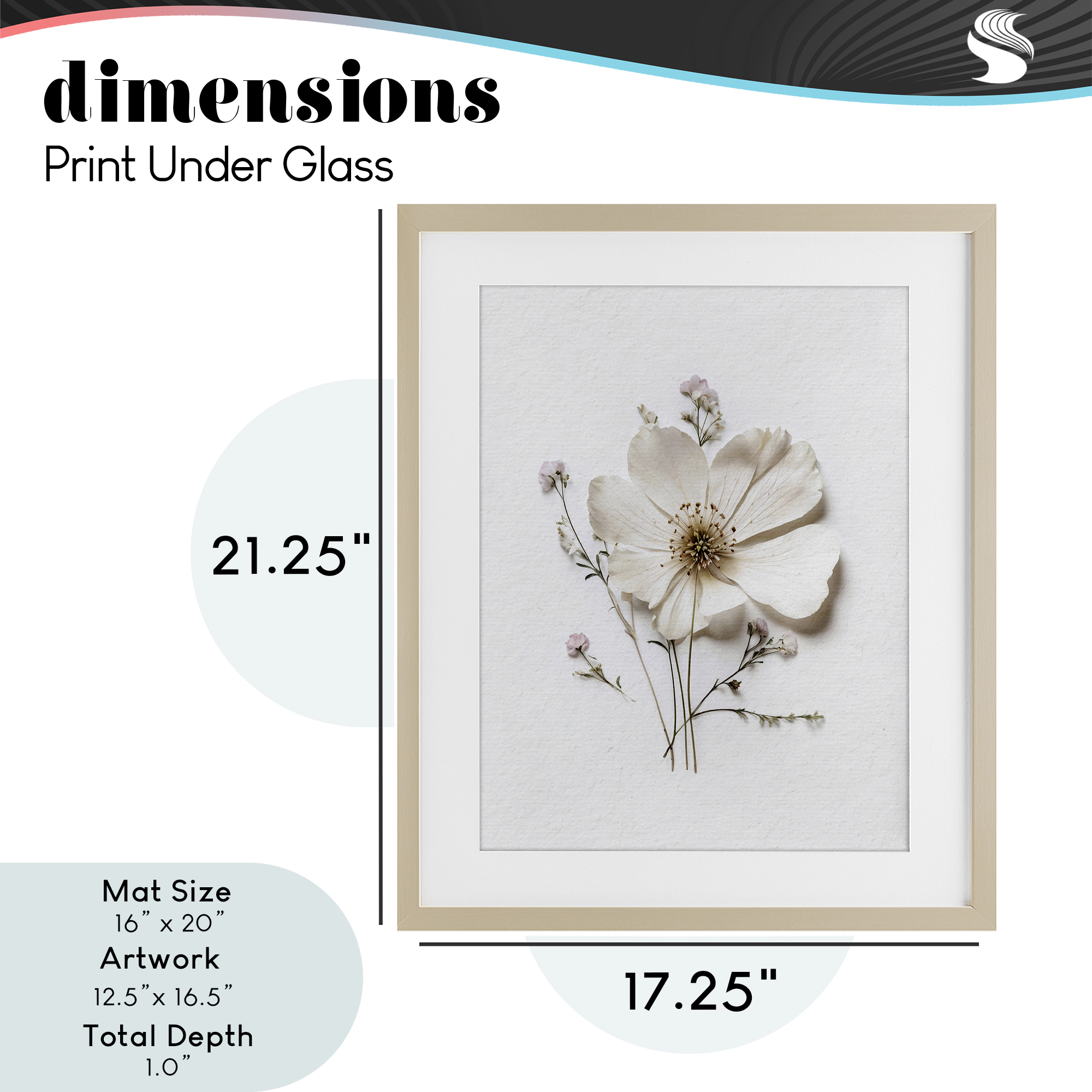 Simple Pressed Cottage Flower Birch Framed Print Under Glass, design by Lettered and Lined