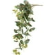 Northlight 39.5" Artificiel Caladium Suspendu Buisson Floral – image 4 sur 6