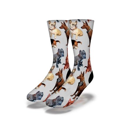 

WHO LET THE DOGS OUT Fun Dog Socks (gray)