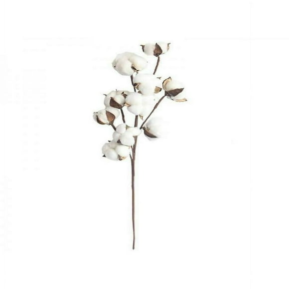 CNKOO 1 PC 21-Inch Natural White Cotton Stem Flowers Cotton Boll Branches Farmhouse Rustic Style Vase Display Filler Floral Wedding Centerpiece Decorations