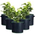 thumbnail image 1 of 5 bolsas para plantar patatas, bolsa de cultivo negra de 12 litros (3 galones), bolsa geotextil de tela no tejida, bolsas para plantas para tomates, pimientos, zanahorias, fresas y otras plantas, ma, 1 of 5
