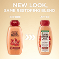 thumbnail image 2 of Garnier Whole Blends Restoring Repairing Conditioner Maple Remedy, All Hair Types, 12.5 fl. oz., 2 of 7