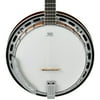 Ibanez B200 5-String Banjo