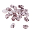 thumbnail image 1 of 20 Piezas Comestibles Sunnimix Huevo de Codorniz Minis Cocina Comedor, 1 of 5