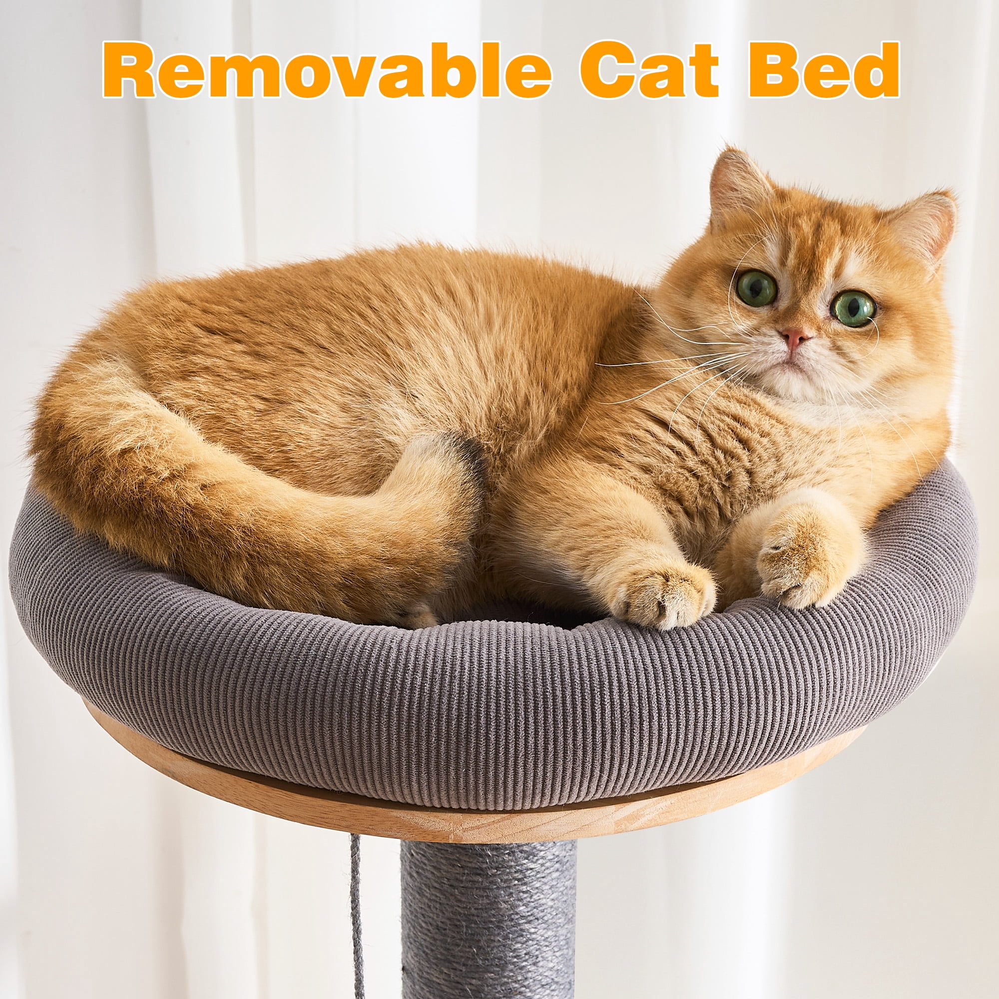 HITTITE Solid Wood Cat Tree Tower with Scratching Post, 61 Inches Tall Cat Towers with Capsule and Condo, Modern Cat Tower with Hammock and Removable Top Bed for Indoor Cats.Grey