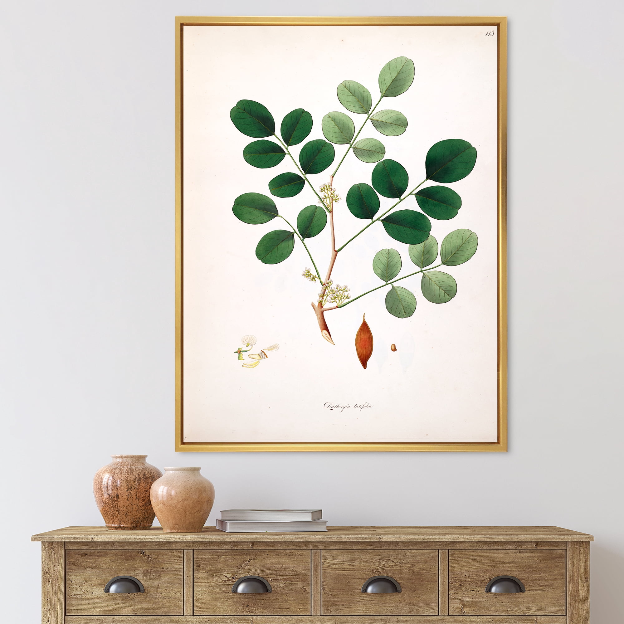 Designart 'Ancient Plant Life XI' Farmhouse Framed Canvas Wall Art Print