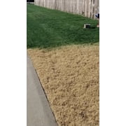 EcoColorants Grass Paint, One Gallon