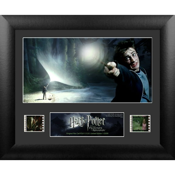 Harry Potter and the Prisoner of Azkaban (S1) Limited Edition Single FilmCells Presentation