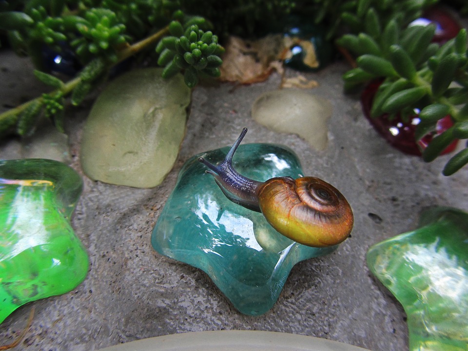 Blue Snail Utah Glass Salt Lake City Garden Snail20 Inch By 30 Inch
