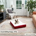 thumbnail image 4 of Happy Hounds Daisy Deluxe Sherpa Supportive Dog Bed, Crimson, Small (36 x 24 in.), 4 of 7