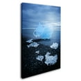 thumbnail image 2 of Trademark Fine Art 'Ice Traveler' Canvas Art by Philippe Sainte-Laudy, 2 of 3