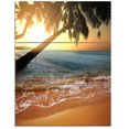 thumbnail image 2 of Beau Coucher de Soleil sur la Plage Tropicale, 2 of 2