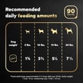 thumbnail image 5 of Cesar Classic Loaf in Sauce Adult Wet Dog Food, Beef Recipe 3.5 oz (Pack of 48), 5 of 6