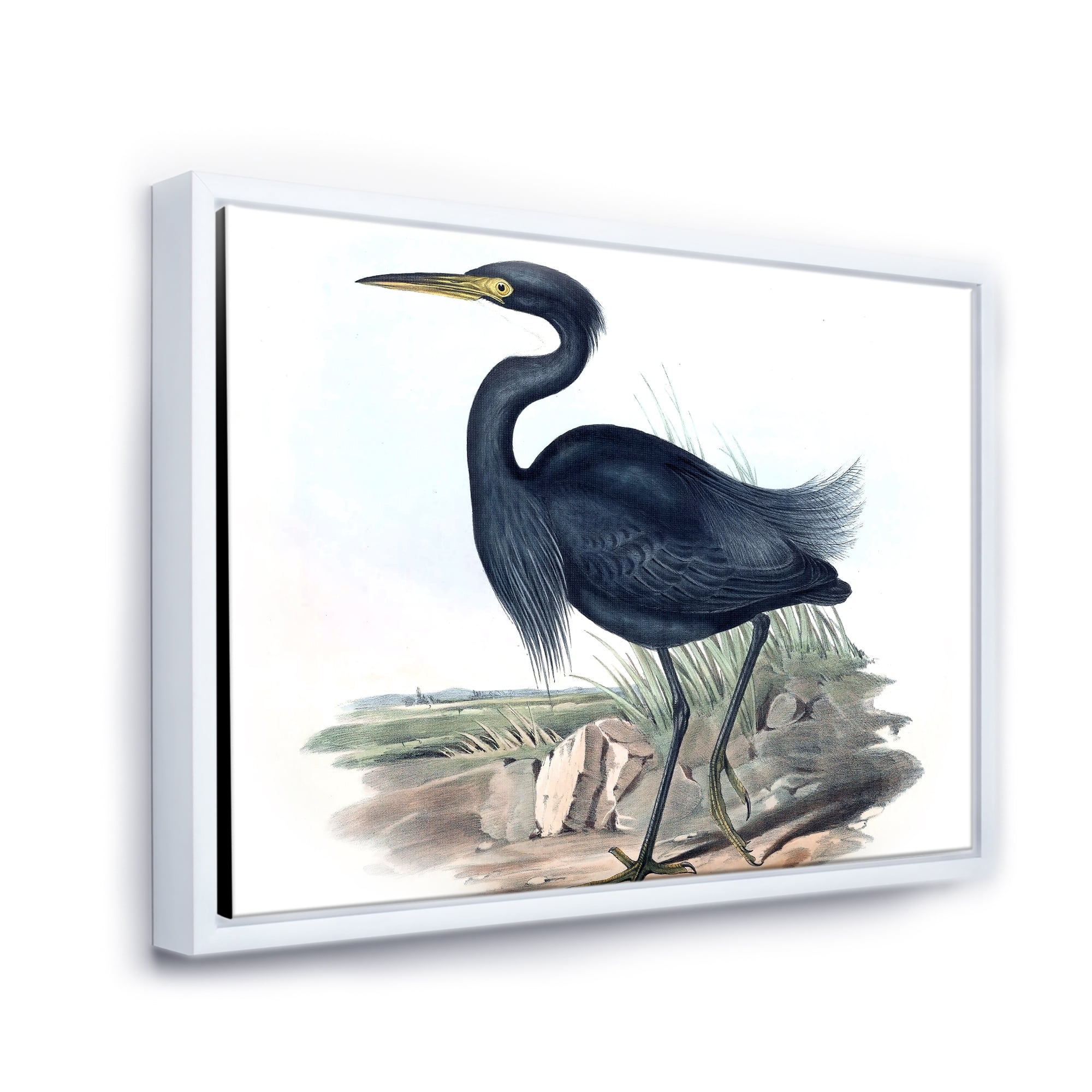 Designart 'Ancient Australian Birds III' Traditional Framed Canvas Wall Art Print