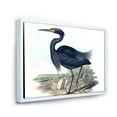 thumbnail image 3 of Designart 'Ancient Australian Birds III' Traditional Framed Canvas Wall Art Print, 3 of 5